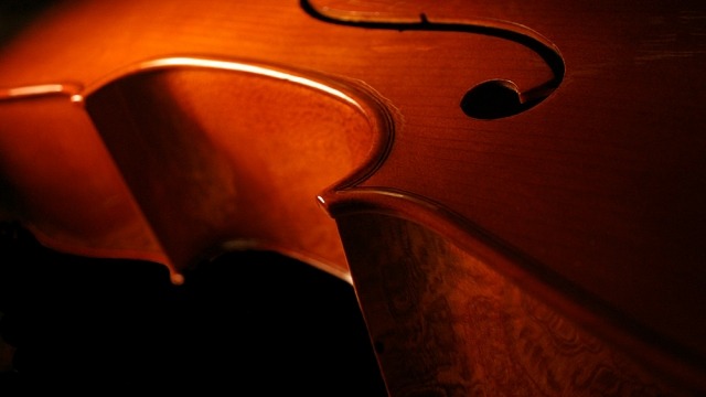 Musica Viva