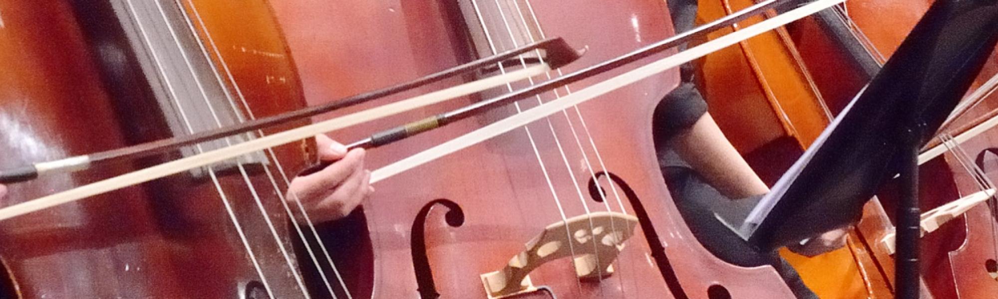 <img typeof="foaf:Image" src="https://music.cass.anu.edu.au/sites/default/files/image/page/bands/2022/10/PH%20strings.jpg" width="1500" height="375" alt="" />