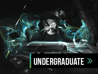 undergraduate link