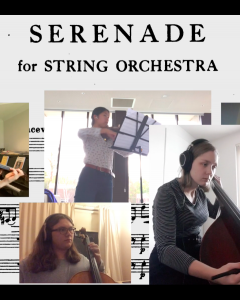 String Quintet virtual performance