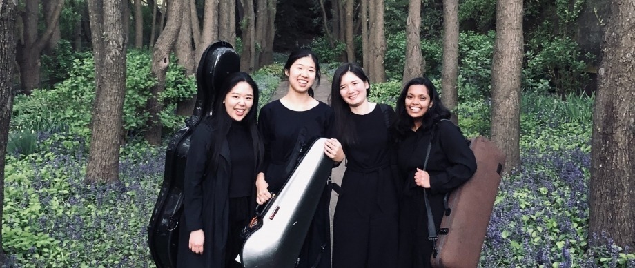 Four string musicians