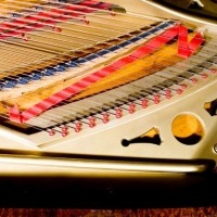 Carl Rönisch grand piano
