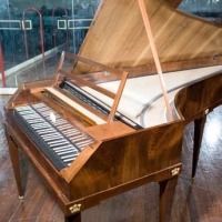 fortepiano mcnaulty
