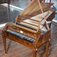 fortepiano mcnaulty