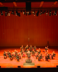 Side by Side Chamber Orchestra